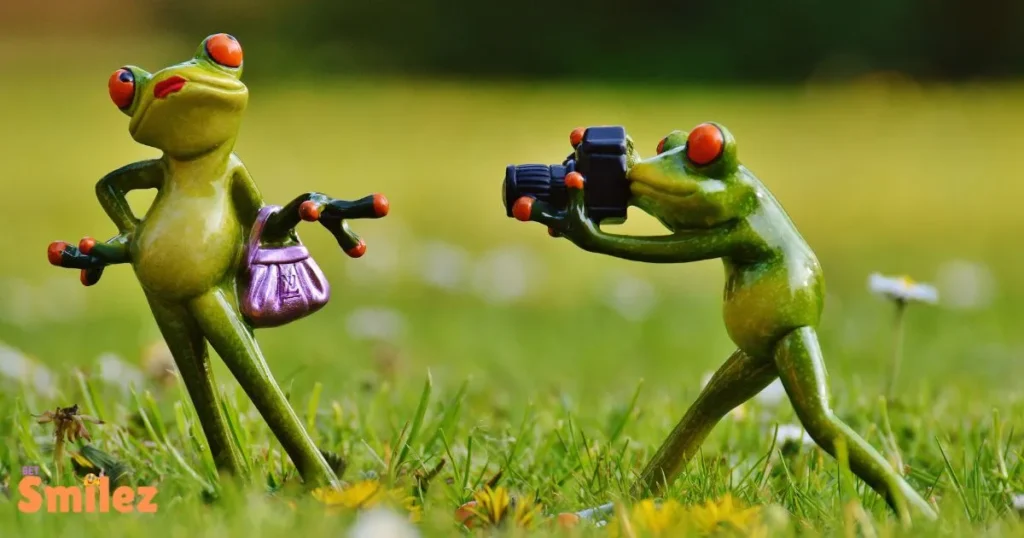 Frog Puns for Valentine’s Day