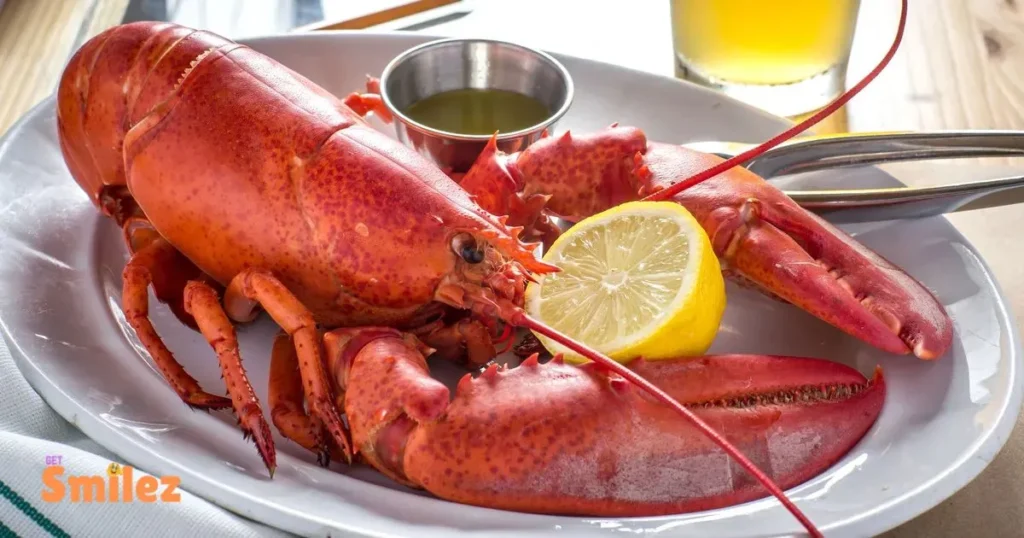 Lobster tastic Lines