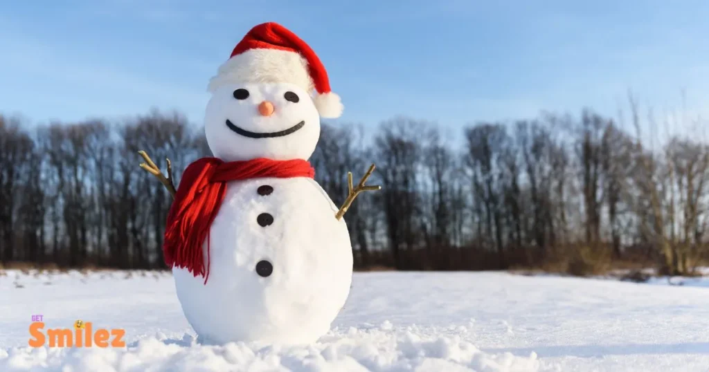 Funny Christmas Memes And Jokes