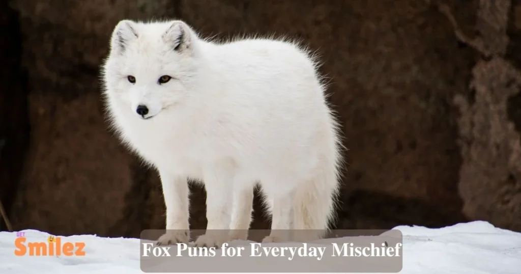 Fox Puns For Everyday Mischief