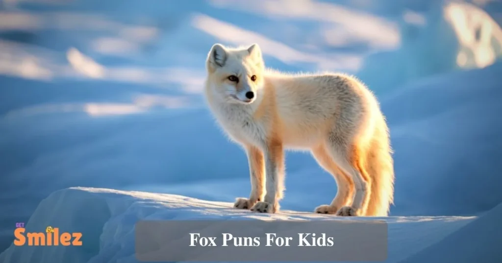 Fox Puns For Kids