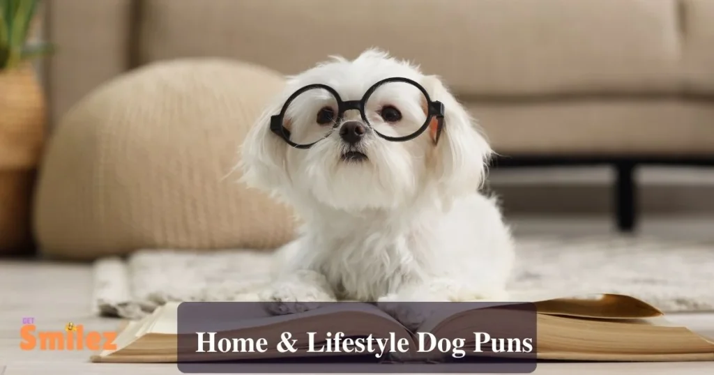 Home And Lifestyle Dog Puns