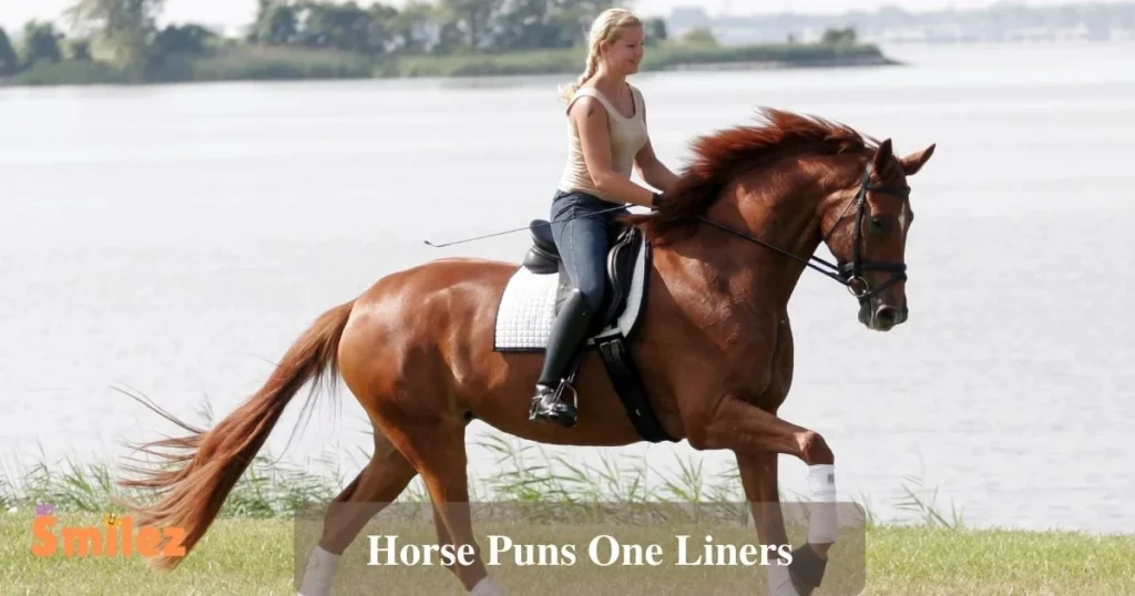 Horse Puns One Liners