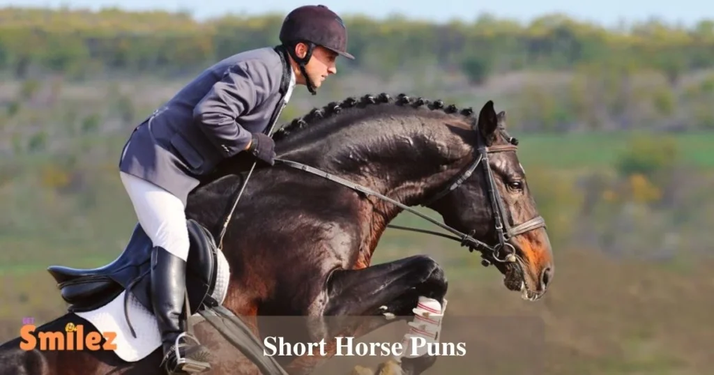 Short Horse Puns