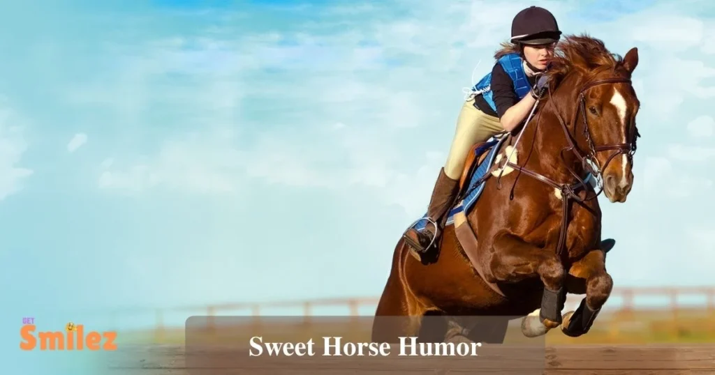 Sweet Horse Humor