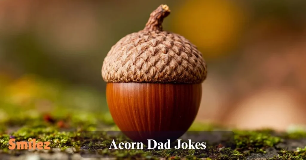 Acorn Dad Jokes
