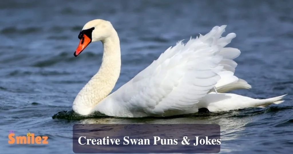 Creative Swan Puns And Jokes