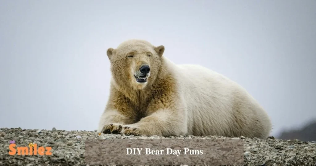 Diy Bear Day Puns