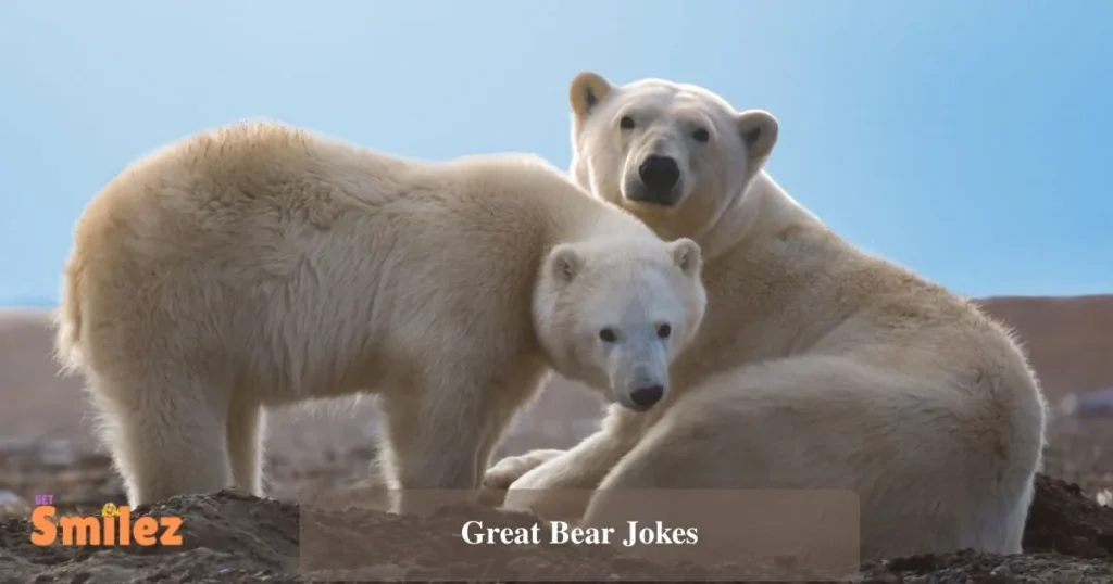 Great Bear Jokes
