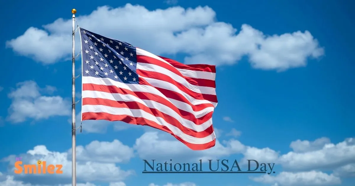 National USA Day Puns