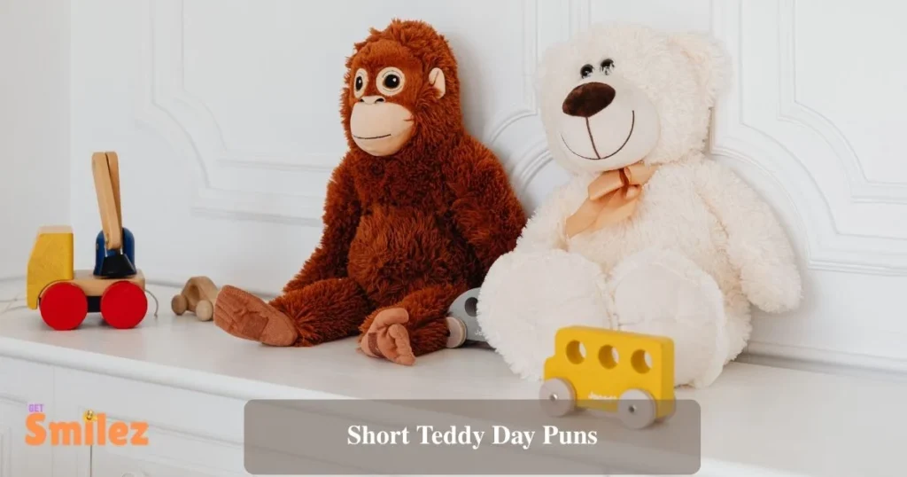 Short Teddy Day Puns