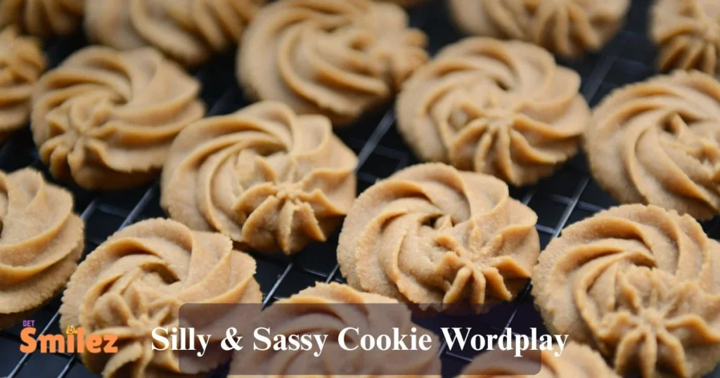 Silly And Sassy Cookie Wordplay