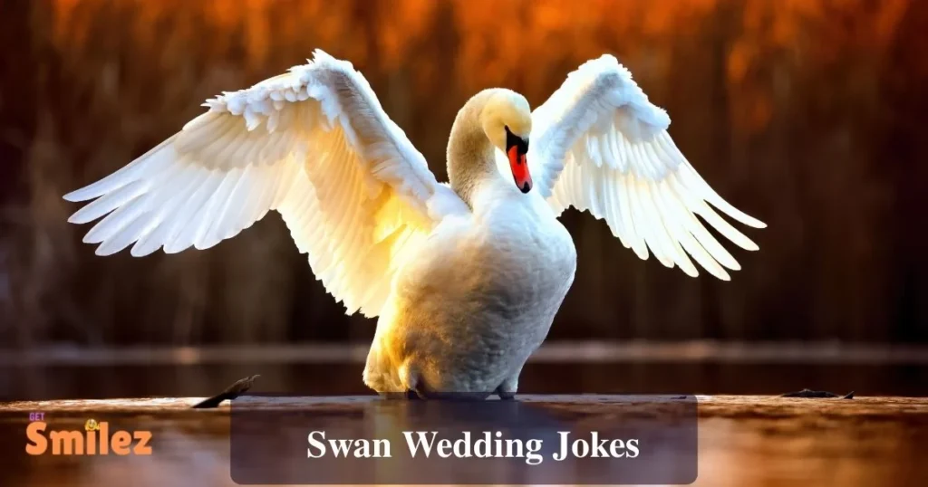 Swan Wedding Jokes