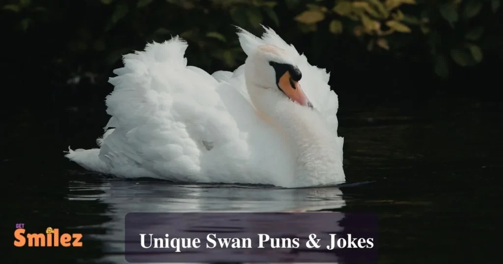Unique Swan Puns And Jokes