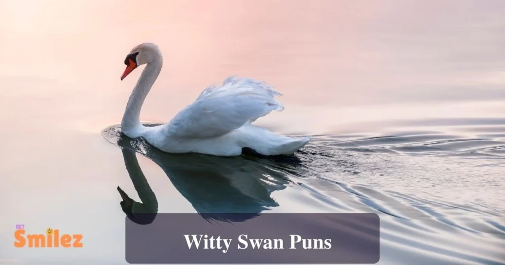 Witty Swan Puns