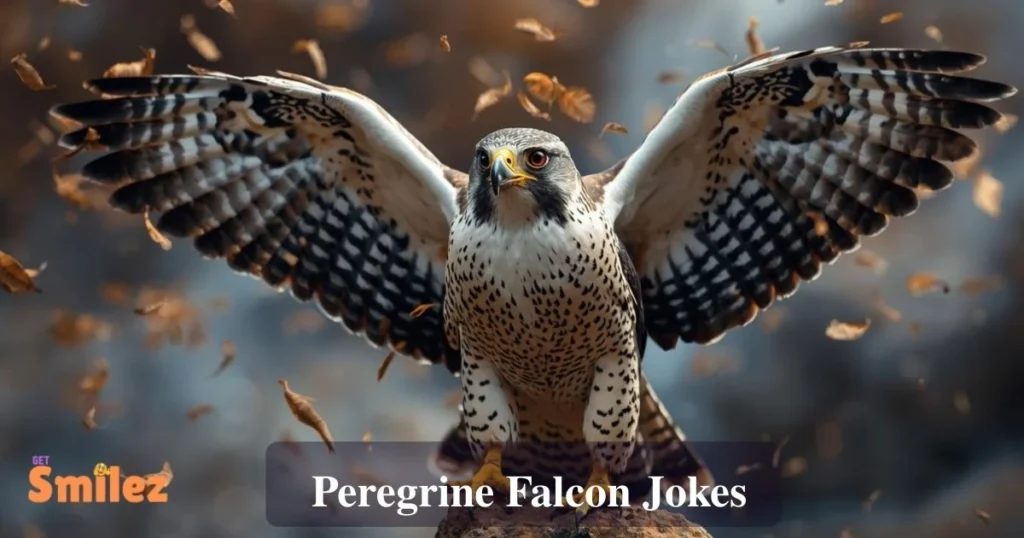 Peregrine Falcon Jokes