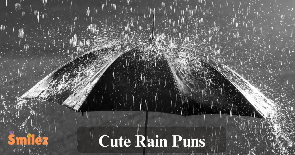Cute Rain Puns