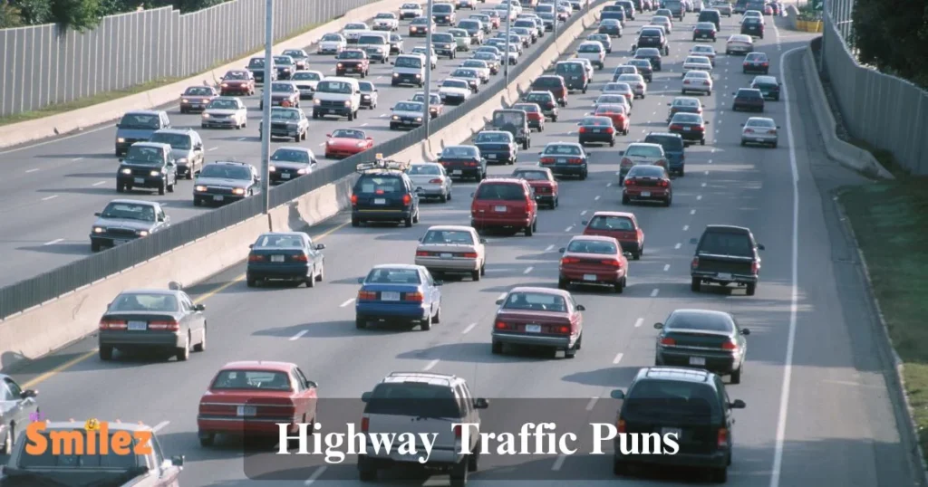 Highway Traffic Puns