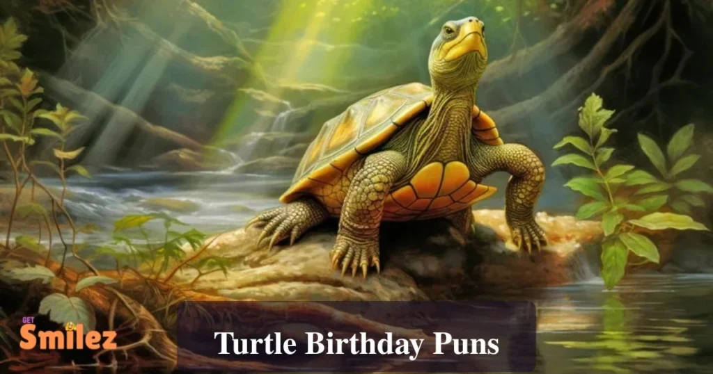 Turtle Birthday Puns