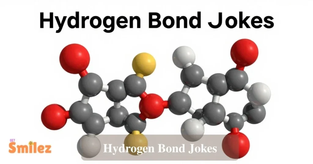 Hydrogen Bond Jokes