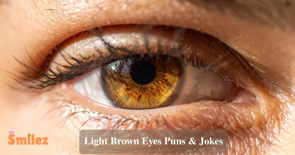 Light Brown Eyes Puns And Jokes