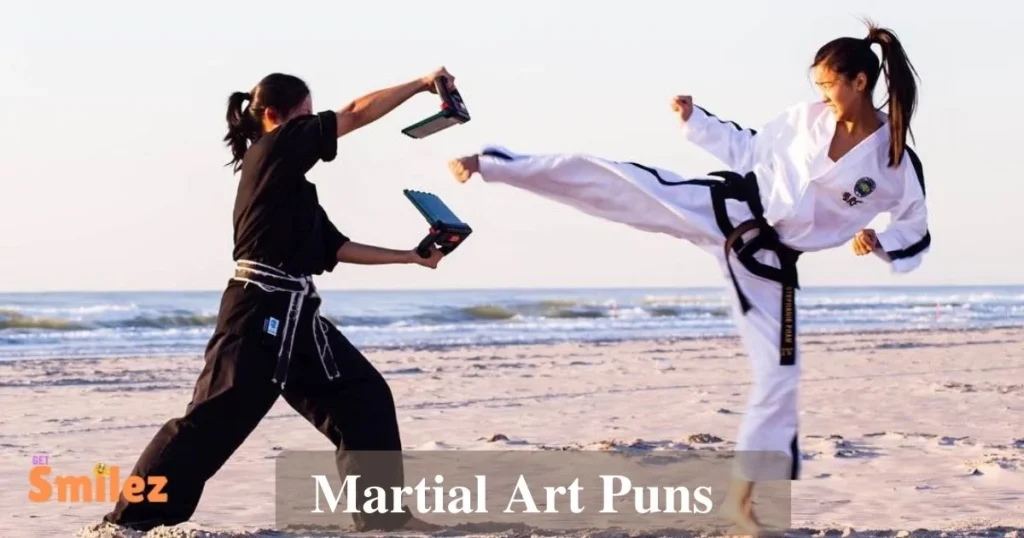 Martial Art Puns